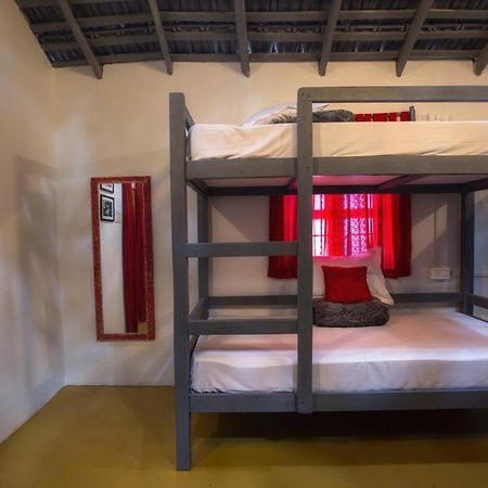 Craft Hostels أنجونا المظهر الخارجي الصورة